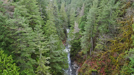 4K-drone-footage-flying-under-bridge-overlooking-river-and-forest