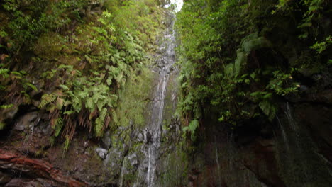 25 fuentes madeira cascada da risco pan movimiento cascada exótica selva tropical