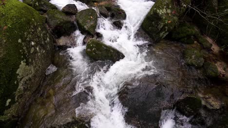 Agua-Corriendo-Sobre-Rocas-Cubiertas-De-Musgo-En-Barrias,-Felgueiras-Portugal