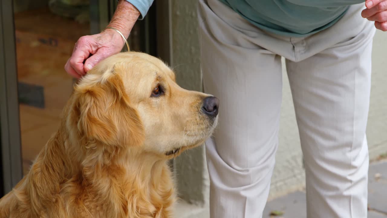 mujer mayor acariciando a un perro en casa 4k