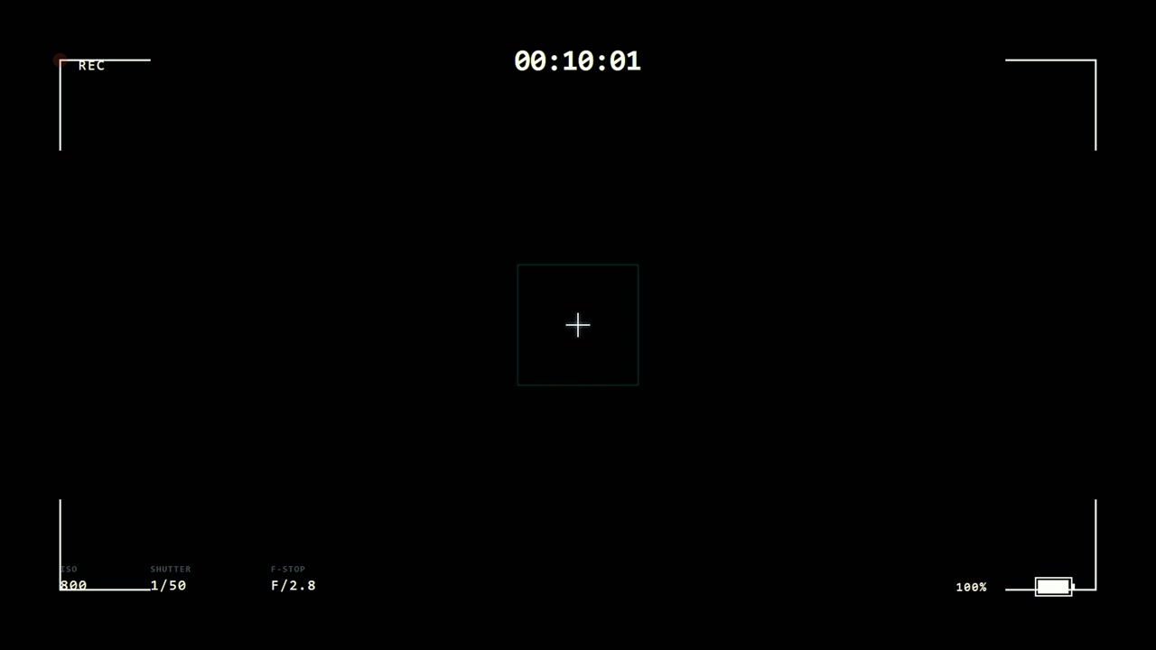 Digital Camera Viewfinder Overlay with Recording Interface