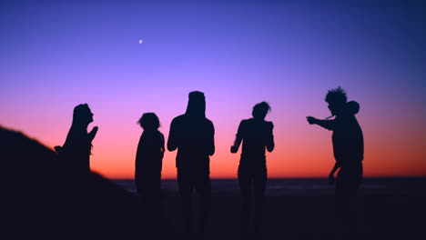 amigos celebrando el atardecer en la playa.