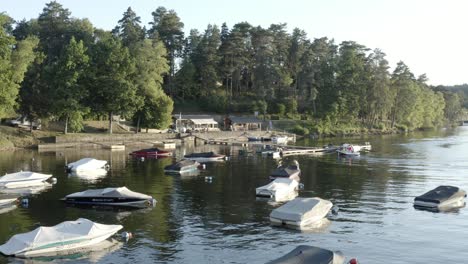 aerial view of numerous small boats moored on calm lake by forested shore, recreational area, marcillac la croisille, france