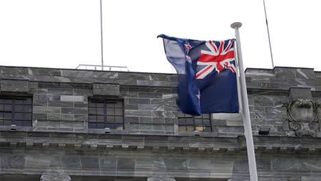 New-Zealand-flow-having-on-a-pole-against-dark-wall