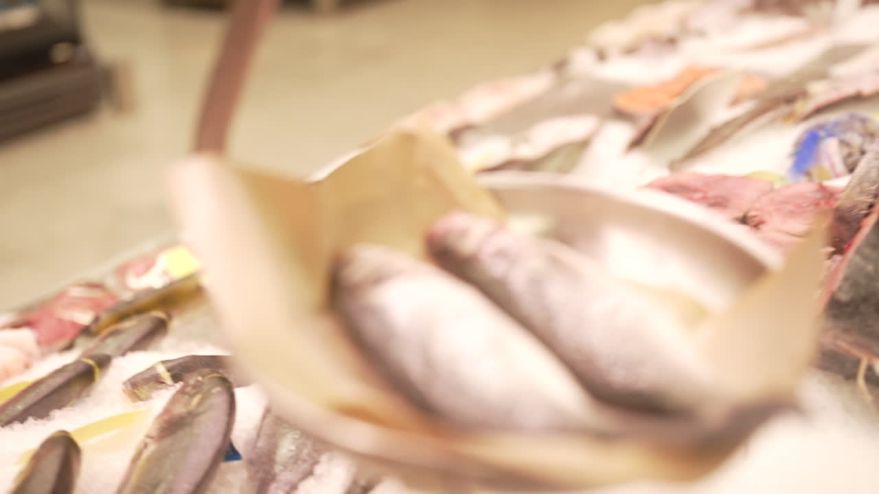 Fresh Fish at the Grocery Store