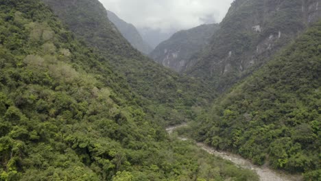 aerial view following winding river along lush green taroko valley jungle woodland wilderness