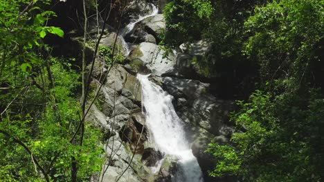 Drone-Ascendiendo-Cerca-A-Través-De-Arbustos-Verdes-Con-Saltos-Jima-Cascada-Fluyendo-De-Un-Pequeño-Acantilado-Rocoso-En-El-Fondo-En-La-República-Dominicana