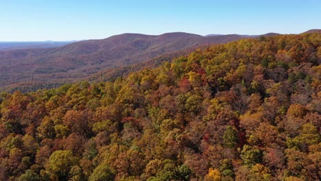 Beautiful-Aerial-Of-Trees-Turning-Color-In-Autumn-Or-Fall-In-The-Blue-Ridge-Mountains-Of-Appalachia,-North-Georgia,-The-Chattahoochee–Oconee-National-Forest