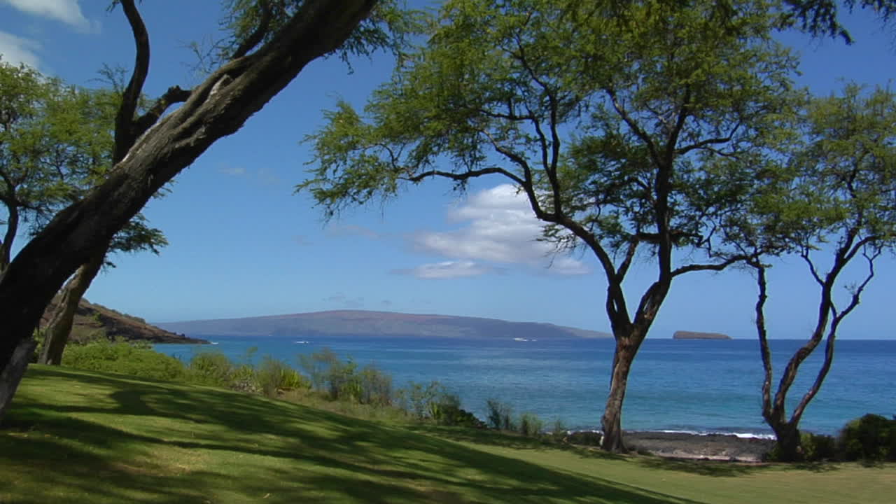 아름다운 열대 풍경은 하와이의 나무와 섬을 보여줍니다.