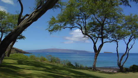 a beautiful tropical vista reveals trees and islands in hawaii