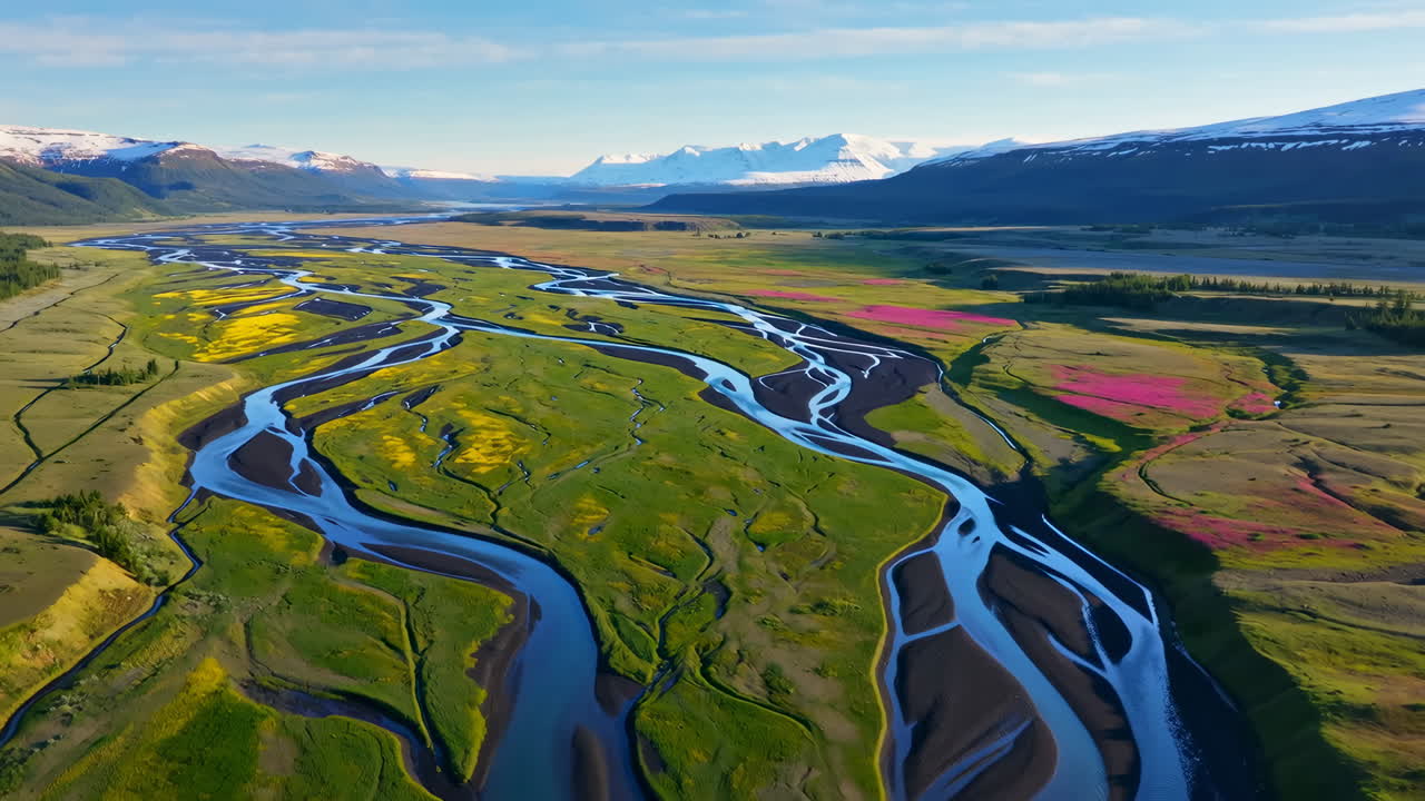 Aerial View of a Braided River Valley with Colorful Vegetation and Snow-Capped Mountains