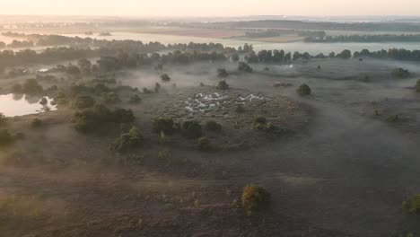 misty sunrise over heath and wetlands