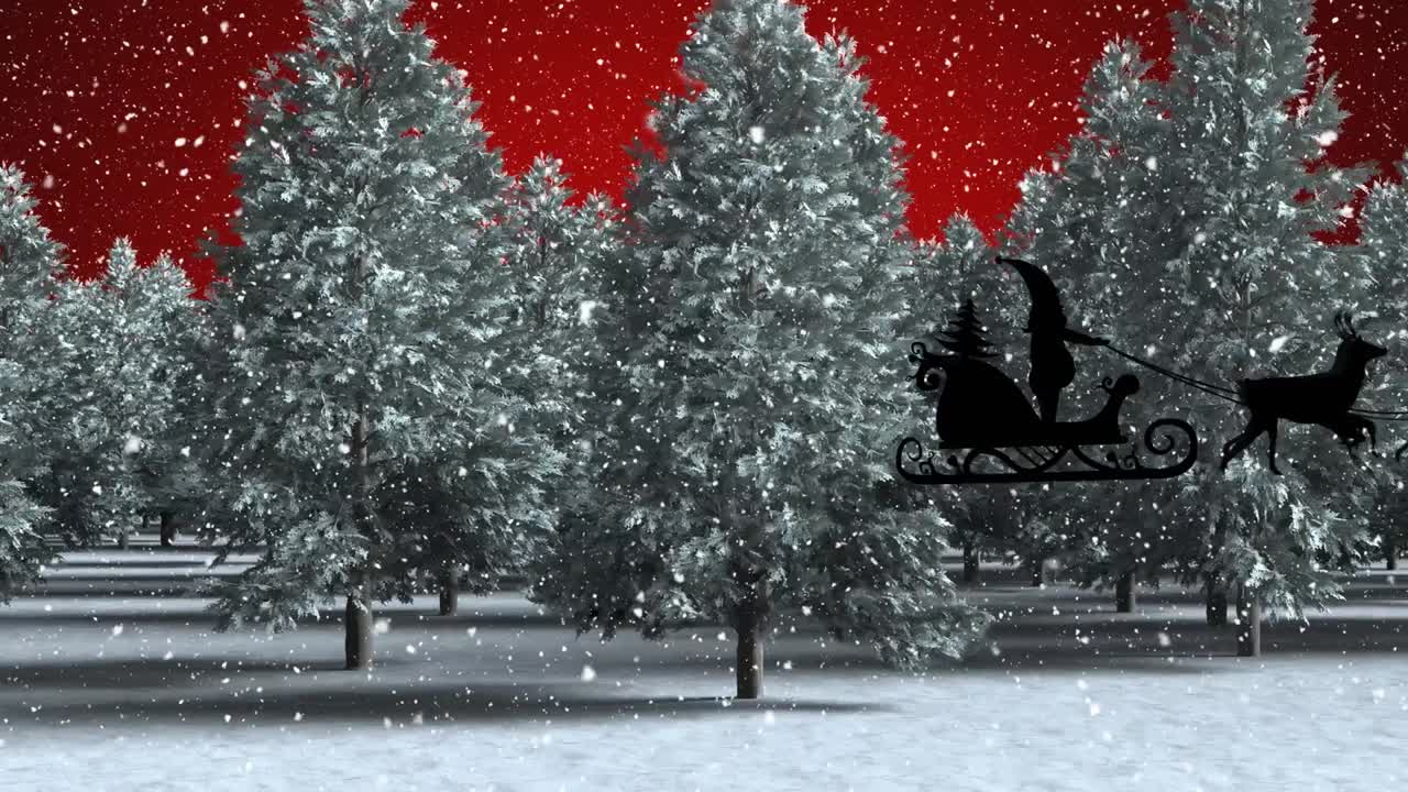 ⁇ 은 배경에 나무 위에 내리는 눈의 애니메이션