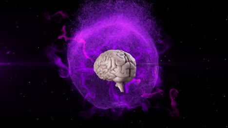 animation of 3d metallic human brain rotating over glowing purple globe on black background