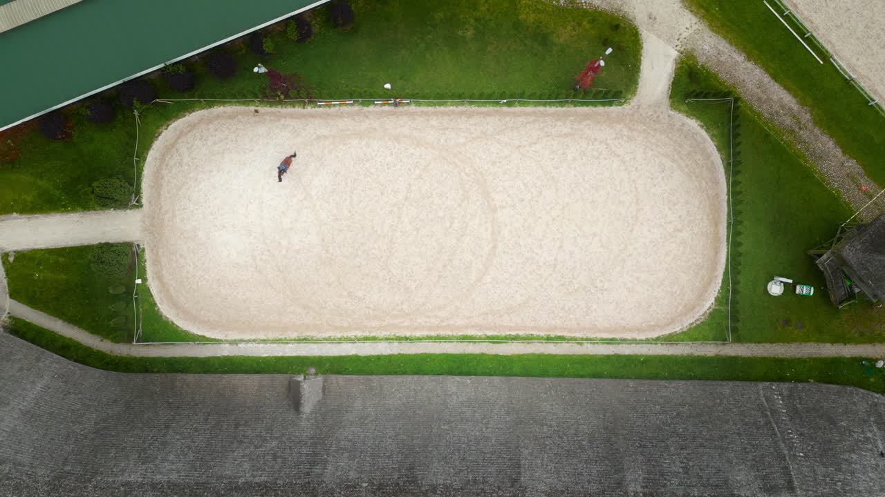 안정 근처 목장에서 걷고 방목하는 말