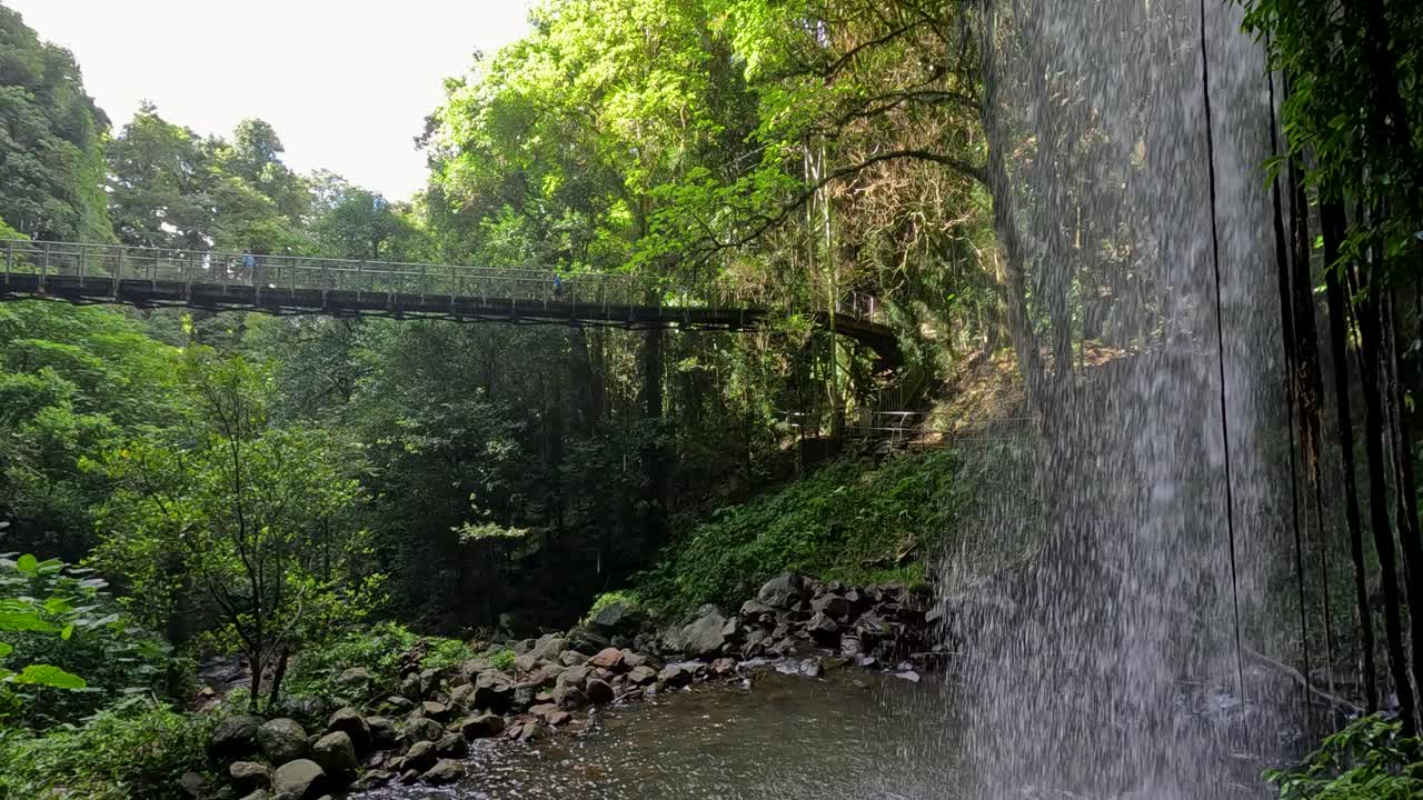 A tranquil waterfall flows beside a suspension bridge in lush Dorrigo National Park, captured with natural lighting and steady camera movement