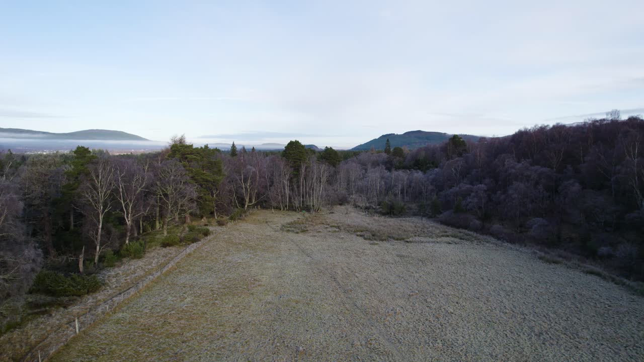 Aerial drone footage flying over a frozen field towards a forest of birch and pine trees on Rothiemurchus estate facing snow covered mountains in the Cairngorms National Park in winter