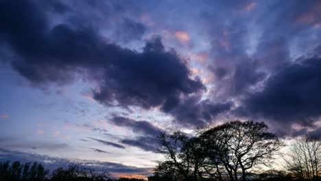 Cielo-De-Puesta-De-Sol-Púrpura-Y-Naranja-Sobre-árboles-Timelapse