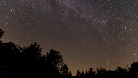 camping in the forest national park under the starry sky full of stars and milky way galaxy rotating around north pole star dark sky park is best for nature base eco resort and tree silhouette moving