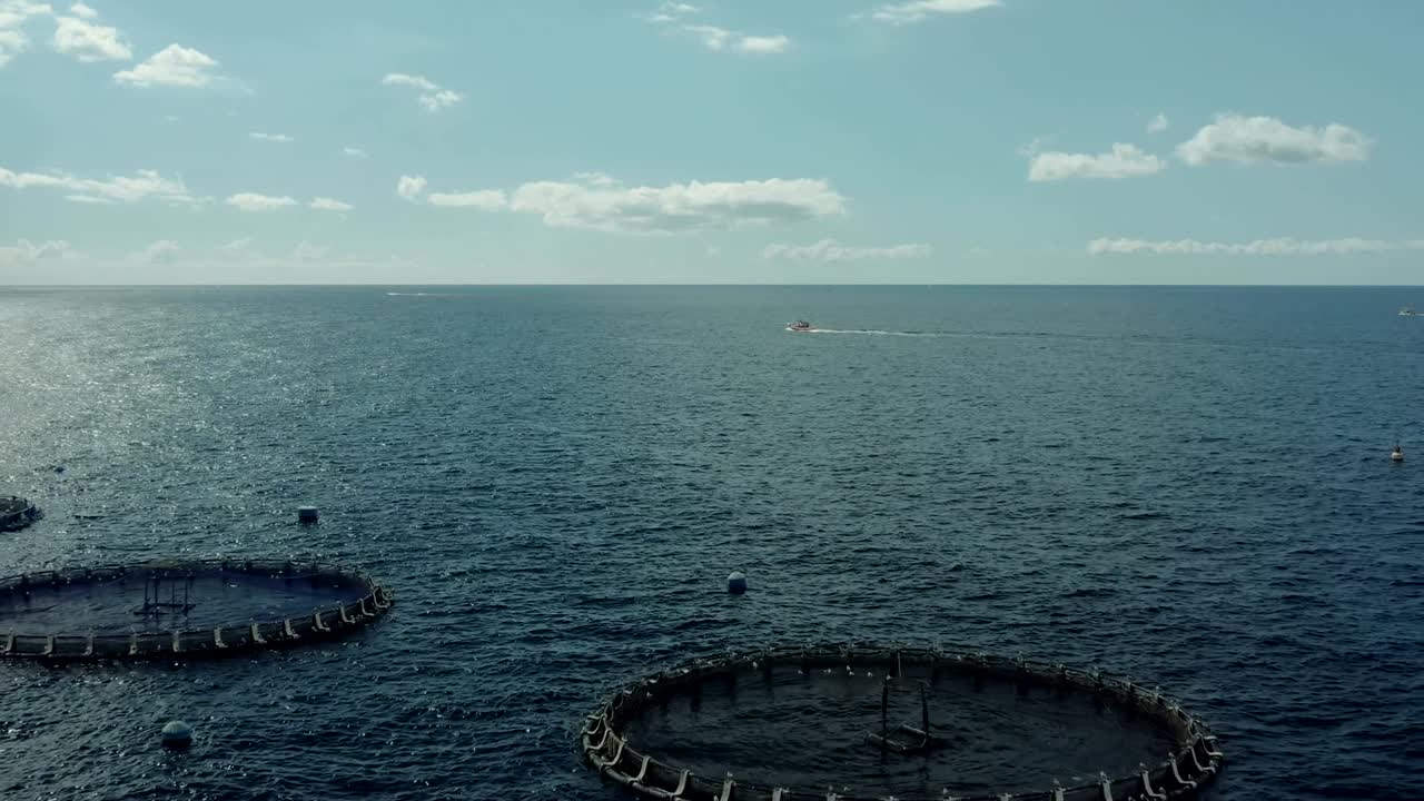 수산물 양육, 고해양 양육