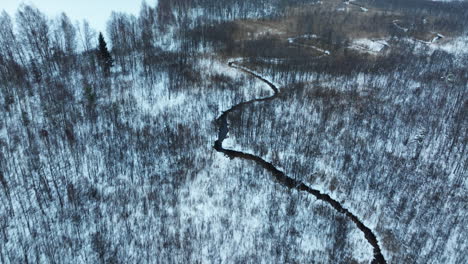 Narrow-sinuous-rivulet-in-Lithuanian-wilderness