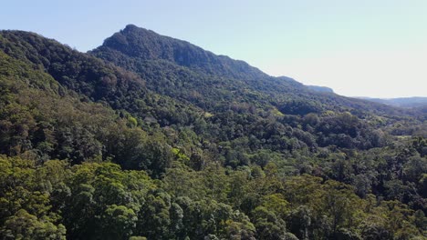 montañas majestuosas llenas de árboles frondosos contra la luz del sol - bosque denso en el monte cougal, un parque nacional en el valle de currumbin, queensland - tiro amplio