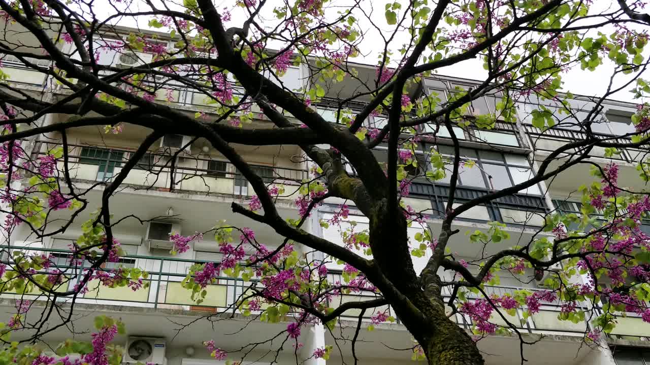 un edificio residencial en podgorica montenegro