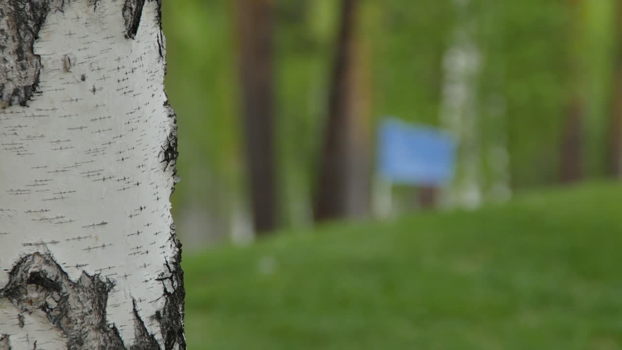 파란 발이 있는 골프장 장면