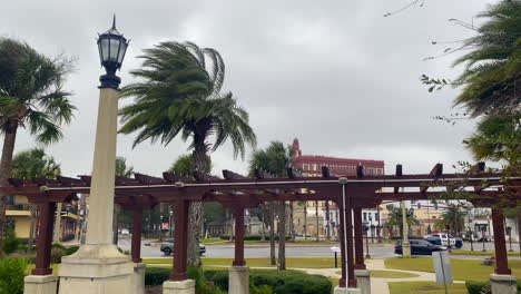 Viento-Que-Sopla-Palmeras-Antes-Del-Huracán-En-El-Centro-De-St