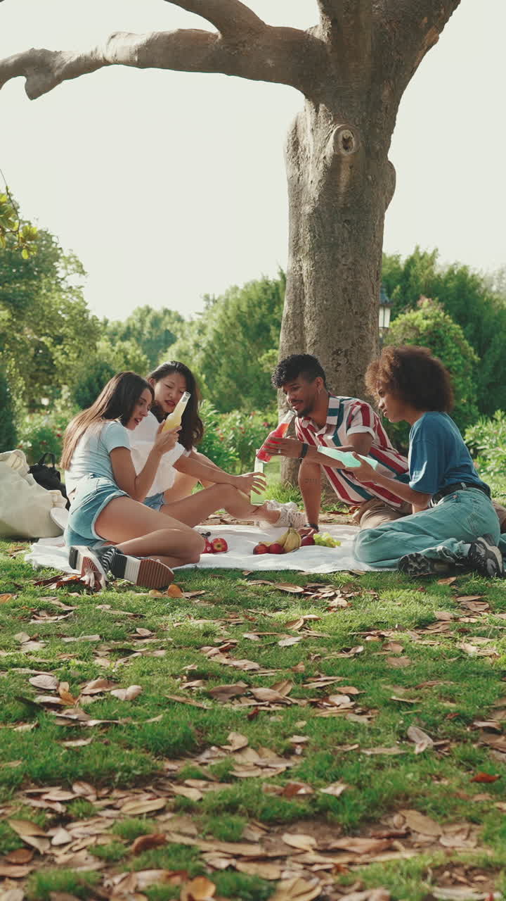 친구 들 이 공원 에서 피크닉 을 즐기고 있다