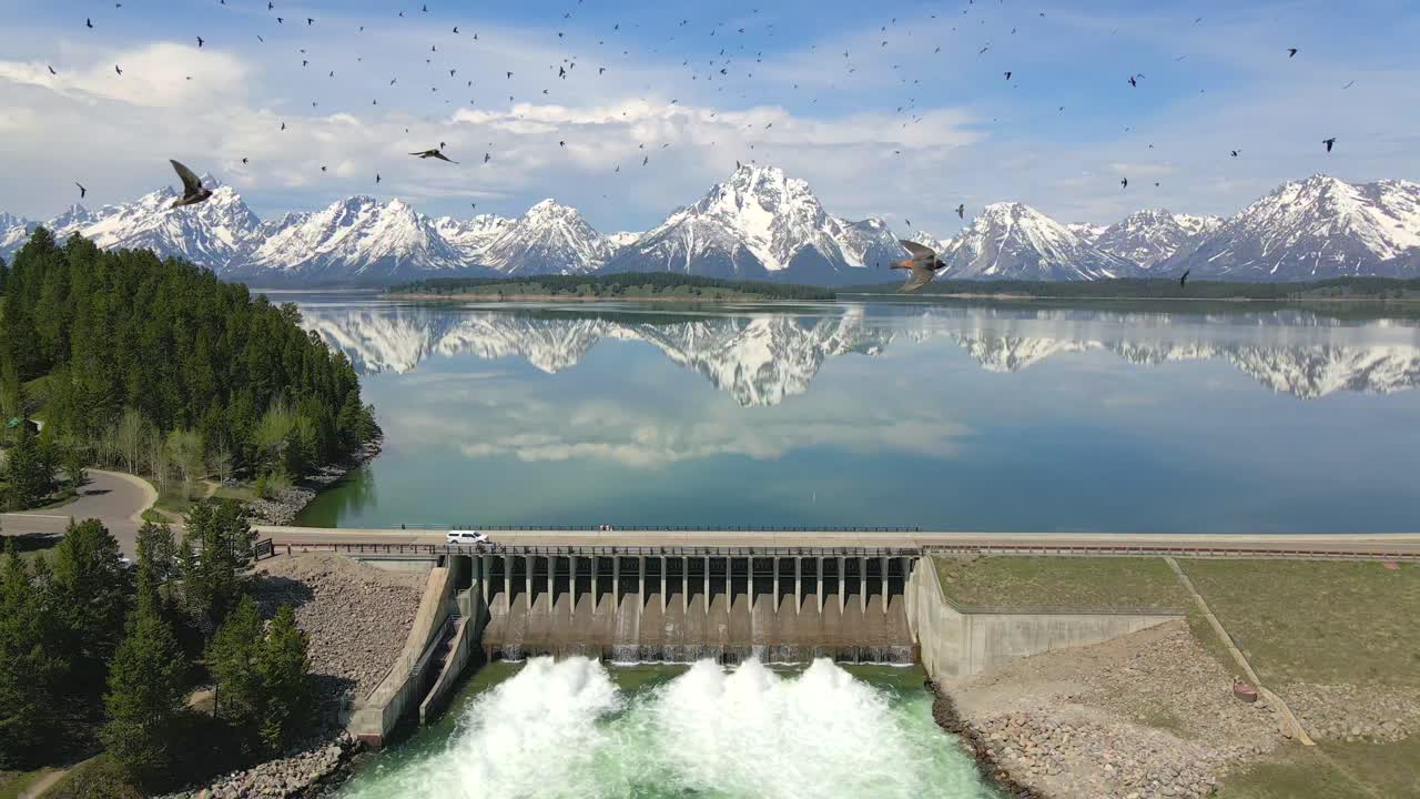 미국 와이오밍주 그랜드 테톤 국립공원에 있는 새 떼의 공중 4k 슬로우모션 60fps