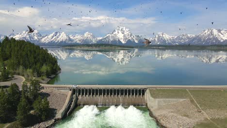 Antenne-4k-Slow-Mo-60fps-Vogelschwarm-Im-Grand-Teton-Nationalpark,-Wyoming,-USA