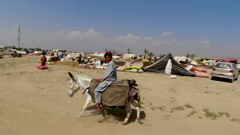 donkey ride at the chilgoza market