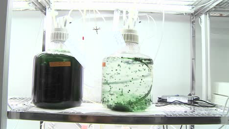 Algae-flasks-Dolly-movement-from-a-photobioreactor-we-see-different-sorts-of-cultures-of-algae-being-aired-with-carbon-dioxide