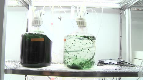 matraces de algas movimiento del carro de un fotobiorreactor vemos diferentes tipos de cultivos de algas que se ventilan con dióxido de carbono