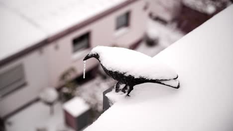 El-Cuervo-De-Plástico-Se-Congeló-Durante-La-Tormenta-De-Invierno.