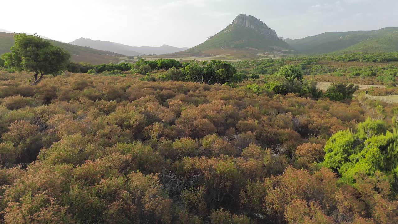 aerial view, flying, generate, grand, panorama, scenery, drone, high, mountains, national park, blue sky, trees