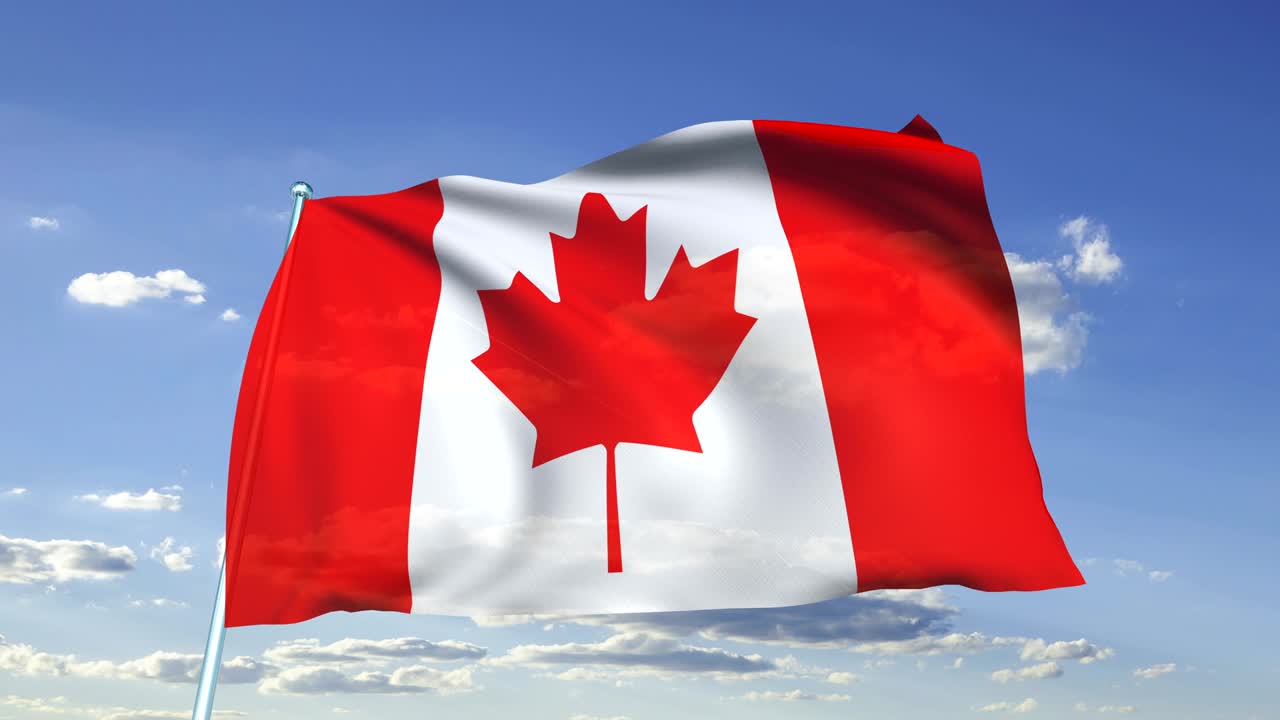 bandera de canadá (en bucle)