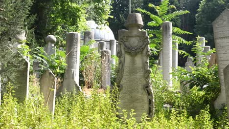 overgrown muslim cemetery in istanbul, turkey