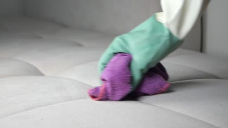 cleaning a sofa with a purple cloth