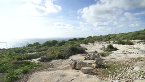 Felsiger-Kalksteinboden-Mit-Spärlichem-Grün-In-Der-Nähe-Des-Mittelmeers-Auf-Der-Insel-Gozo