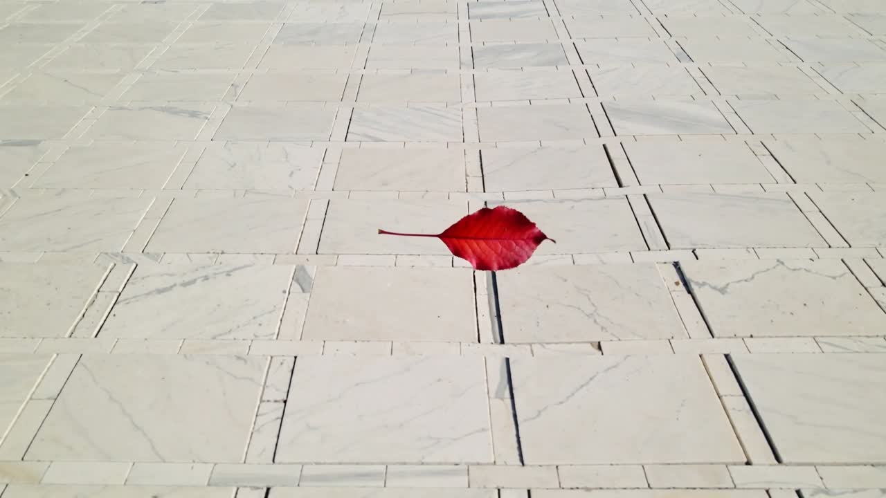 Hoja roja a la deriva girando y deslizándose sobre una cuadrícula de baldosas pálidas, impulsada por la brisa, proyectando una pequeña sombra.