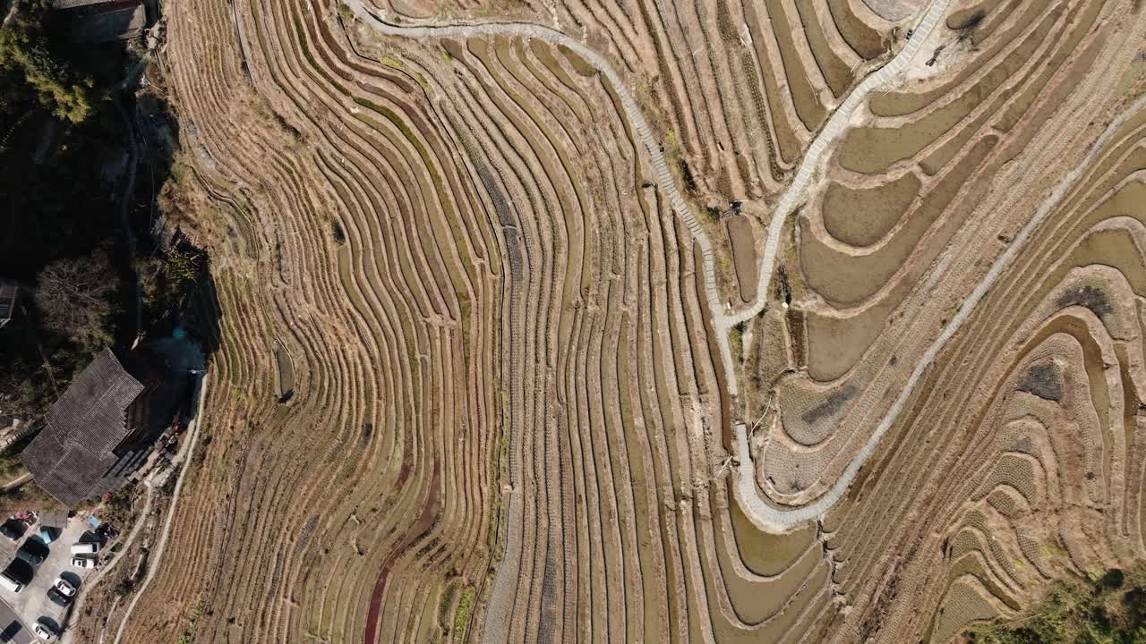 Drone top-down view of dry Longsheng rice terraces and walking paths near Guilin, Guangxi, China
