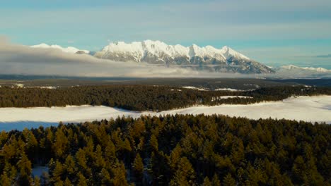 a sunset journey through a winter wonderland: a snowy forest in the canadian rocky mountains