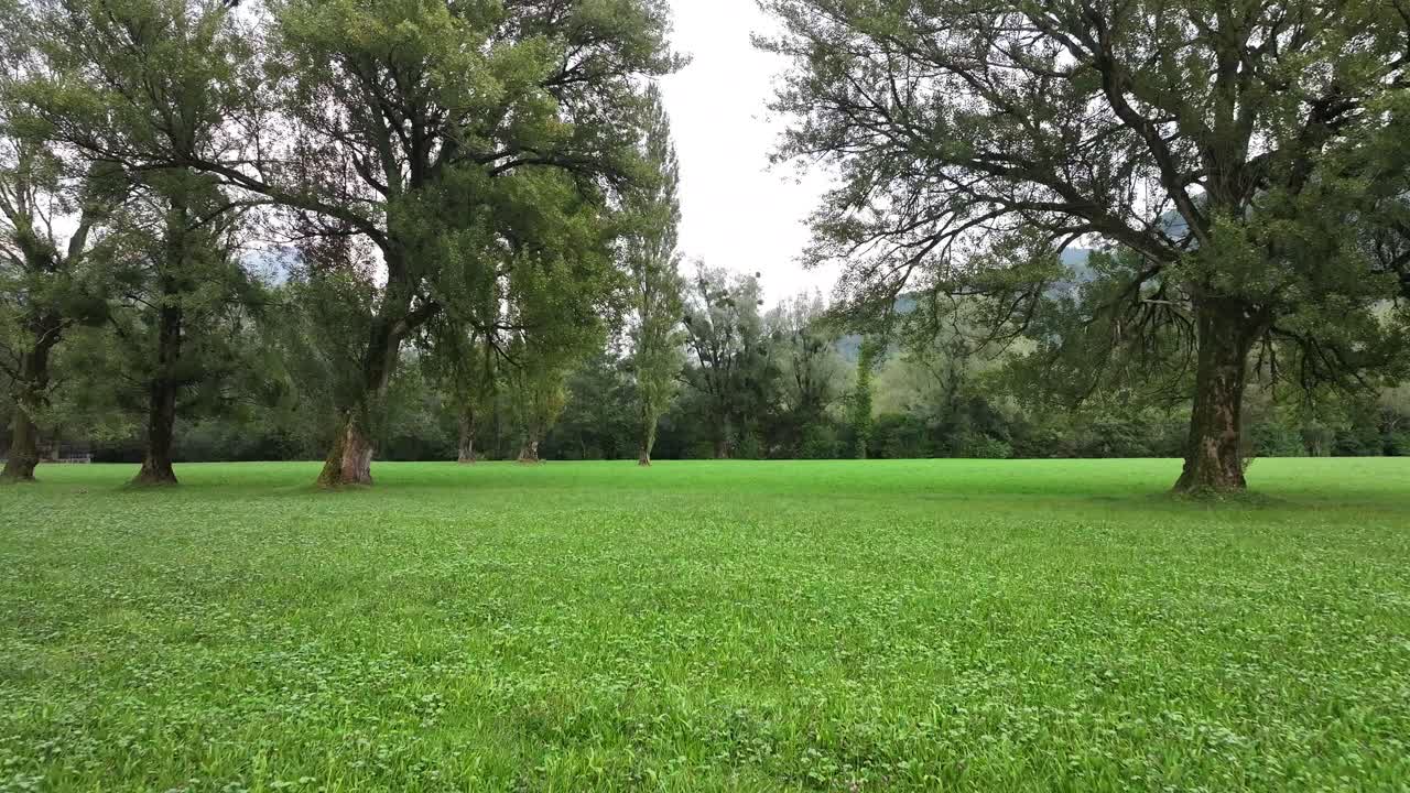 Green Spring Meadows And Trees At The Nature Park Near Weesen In The canton of St. Gallen, Switzerland. Pullback Shot