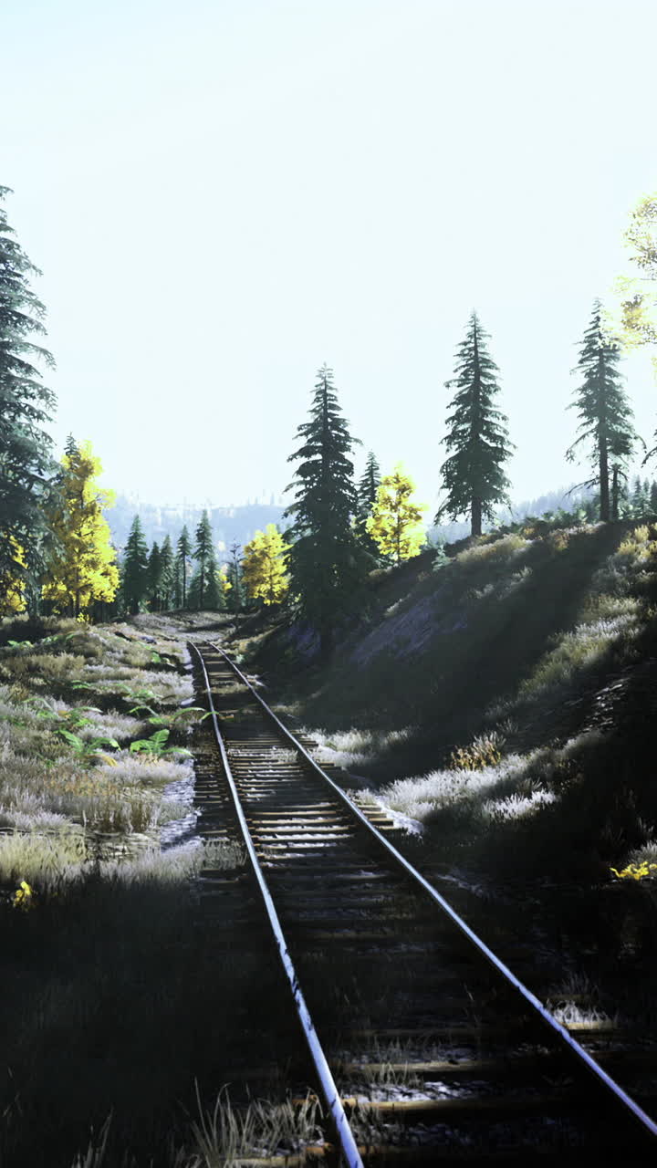 Sunlight filters through trees along a peaceful railway track in nature