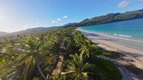 picturesque tropical landscape at sandy beach of caribbean sea with palm trees. playa rincon, galeras, samana. fpv drone forward shot. green mountains along coastline at sunset time.