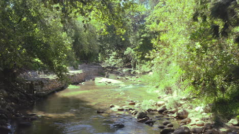 la naturaleza no es un lugar, sino un hogar.
