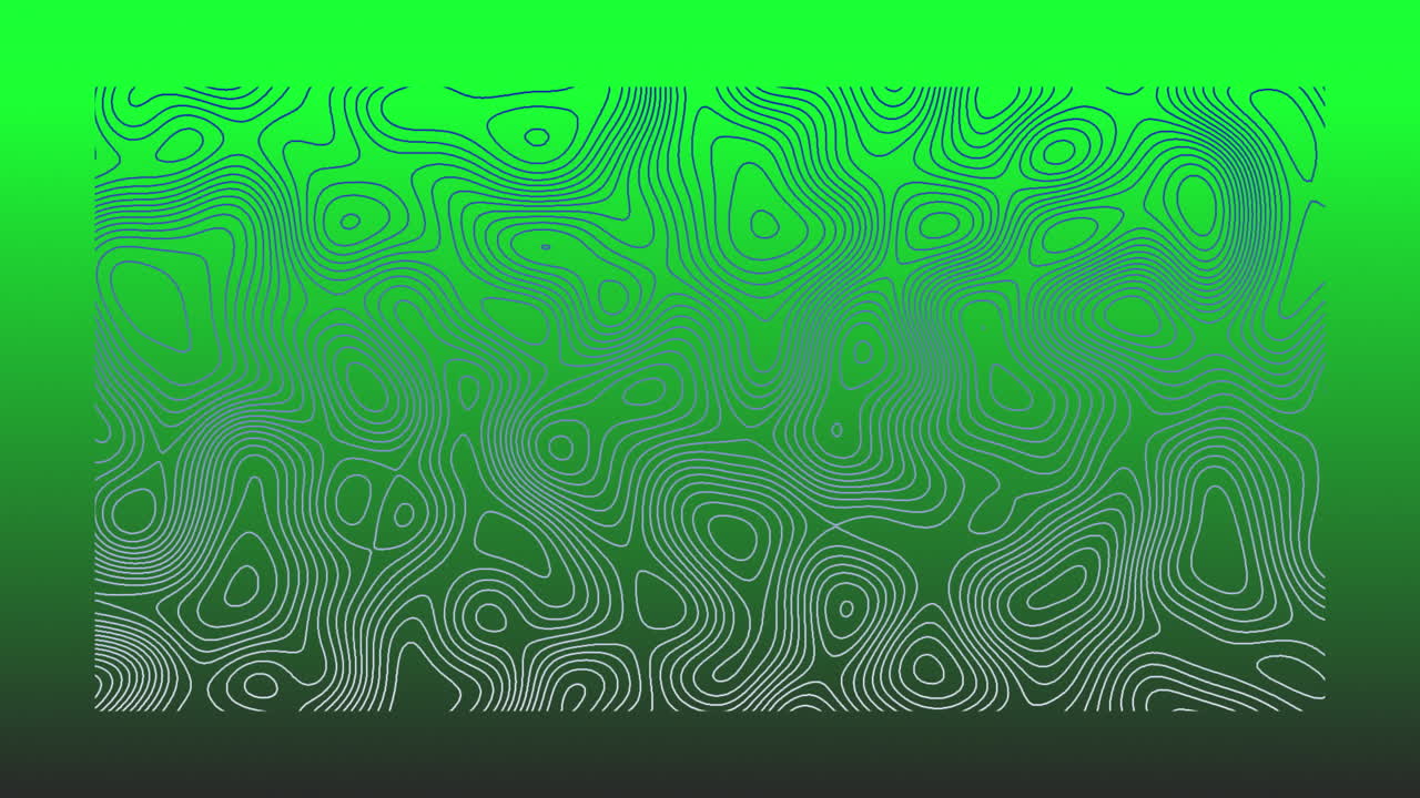 animación de líneas topográficas grises que se mueven orgánicamente sobre un fondo verde brillante
