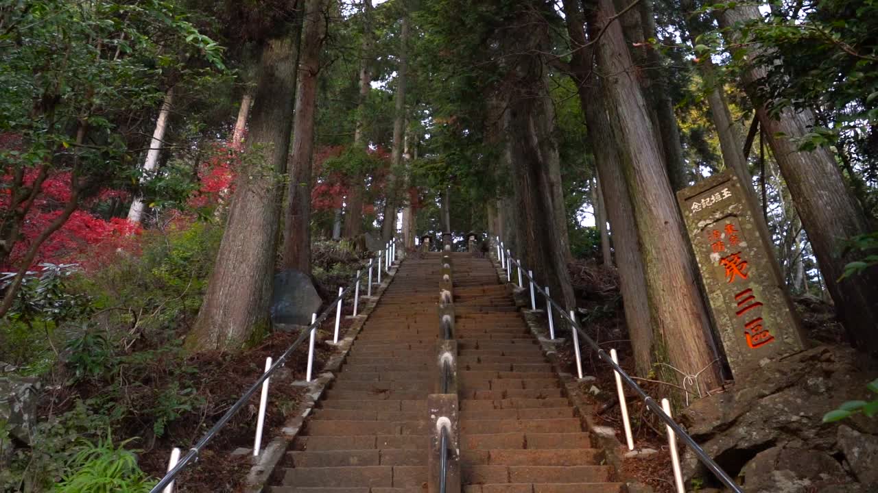 Oyama Hiking trail stair climb reveal